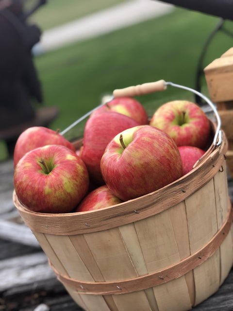 Friske Orchards
Friske honeycrisp apples
Michigan fruit
apple in basket
