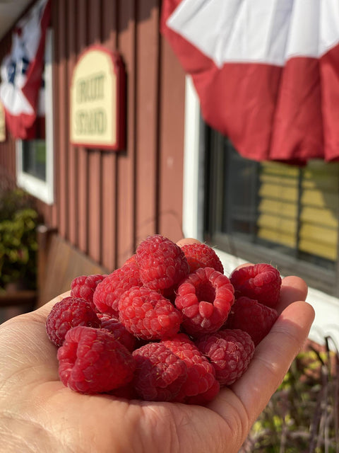 Michigan fruit
Michigan raspberries