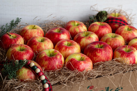 Michigan Honeycrisp Apple Gift Box