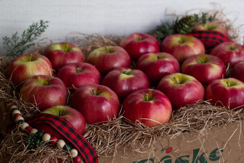 Michigan Northern Spy Apple Gift Box