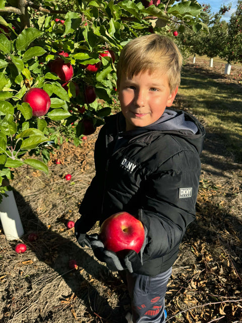 Friske Orchards
Friske apples
apple. picking
boy holding apple