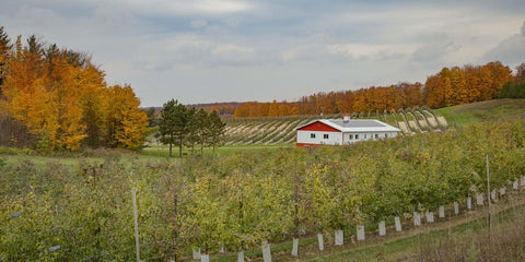 Friske Orchards
Bunk House
AirB&B
Harvest Host
Overnight Stay
Camping