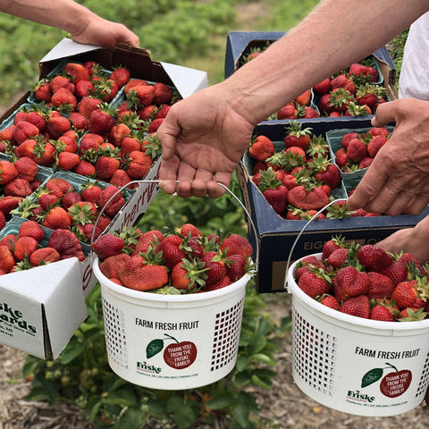 Friske Farm Market
Friske strawberries
Strawberry picking
Family fun