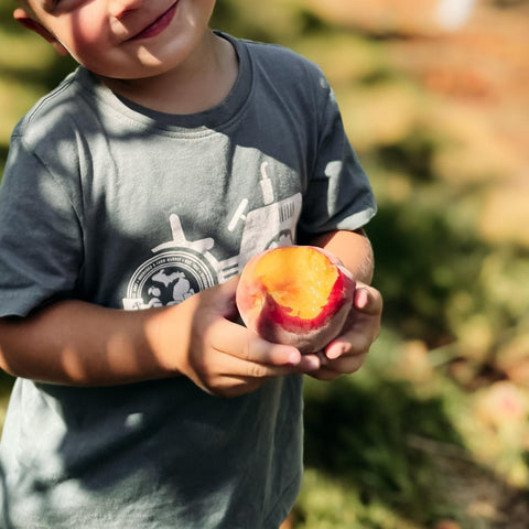 Spiced Canned Peaches