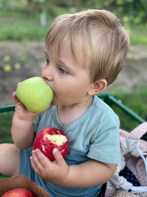 FRISKE APPLE FEST 2026