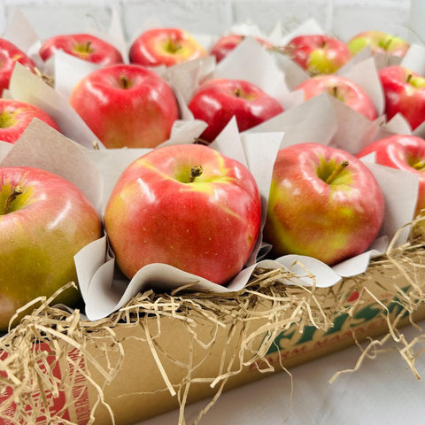 Michigan Northern Spy Apple Gift Box