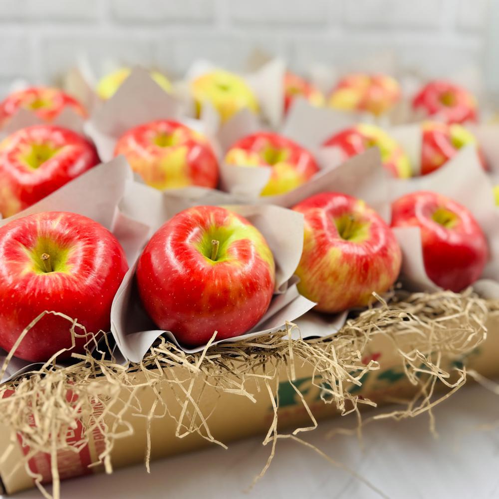 12 Extra Fancy good Fresh Apple Gift Box--Price includes shipping