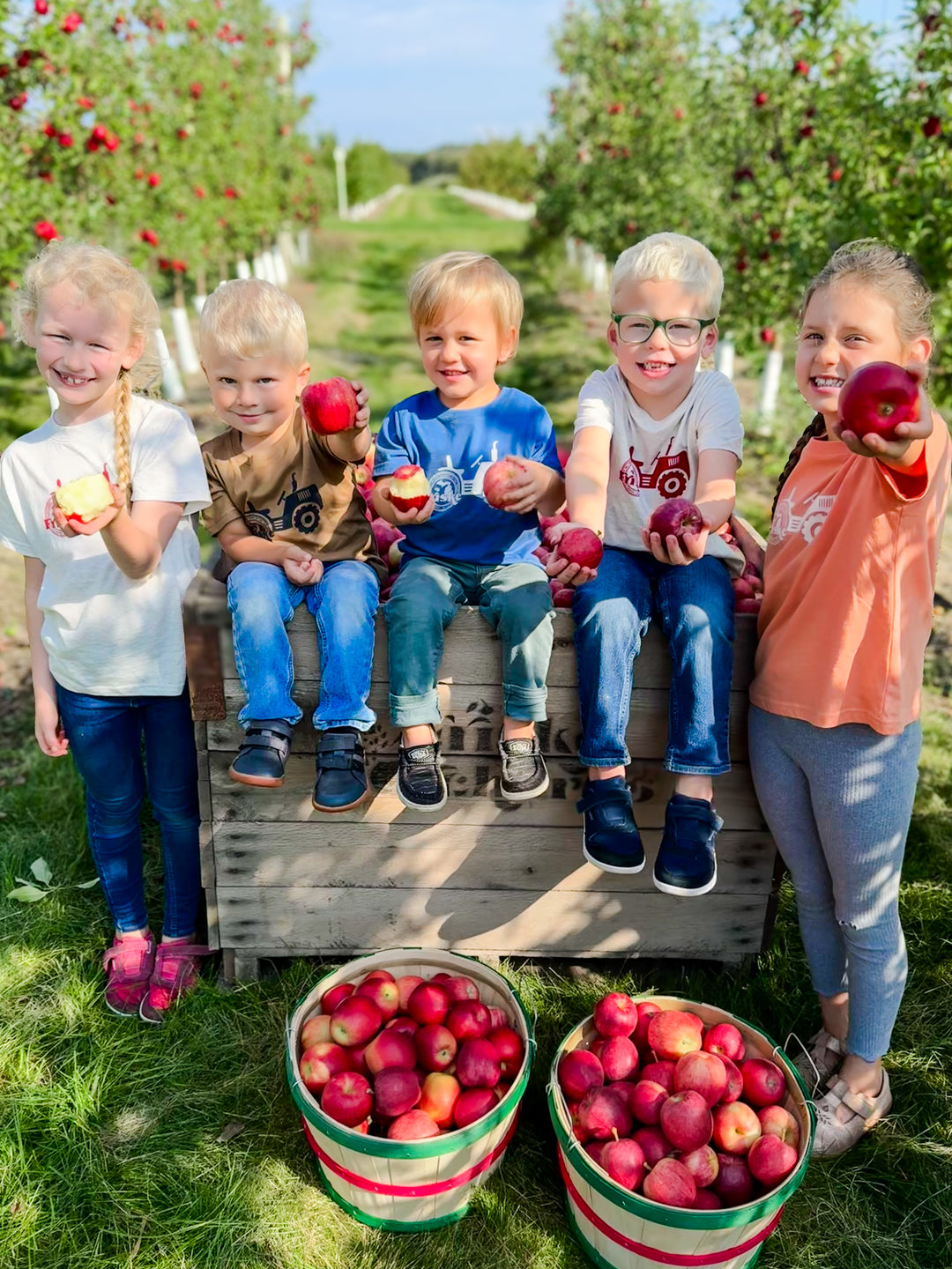 Activities – Friske Farm Market