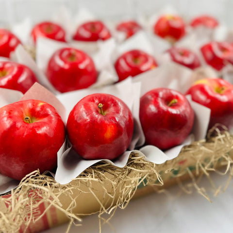 Michigan Apples Shipped
Michigan Apple Gift Box
Michigan Apple Gift
Michigan Apples Nationwide Shipping
Michigan Apples USA