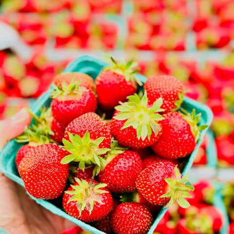 Michigan Grown Strawberries