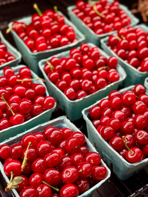 Friske Orchards Montmorency Cherries