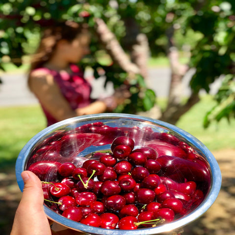 Traverse City cherries
Montmorency cherries
Michigan fruit