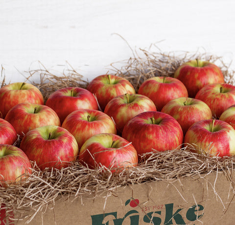 Honeycrisp Michigan Apple Gift Box