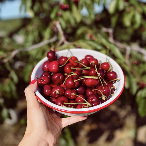 Cherry Yogurt Pretzels