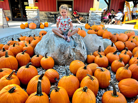 FALL FESTIVAL WRAP UP 2026