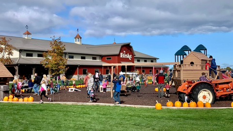 Friske Farm Market
Fall Festival
Family Fun
Apple pickng
Orchard tour
Pumpkins
Outdoor Playground
