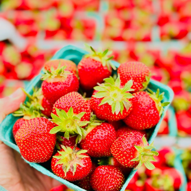 Farm – Friske Farm Market