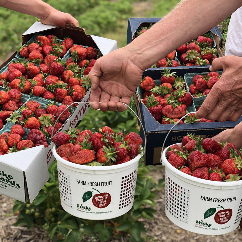 Farm – Friske Farm Market