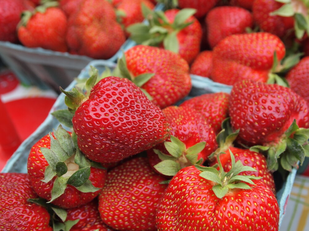 Friske Orchards Farm Market strawberries near charlevoix michigan