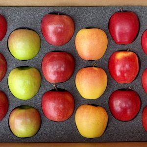 fresh-apple-gift-box