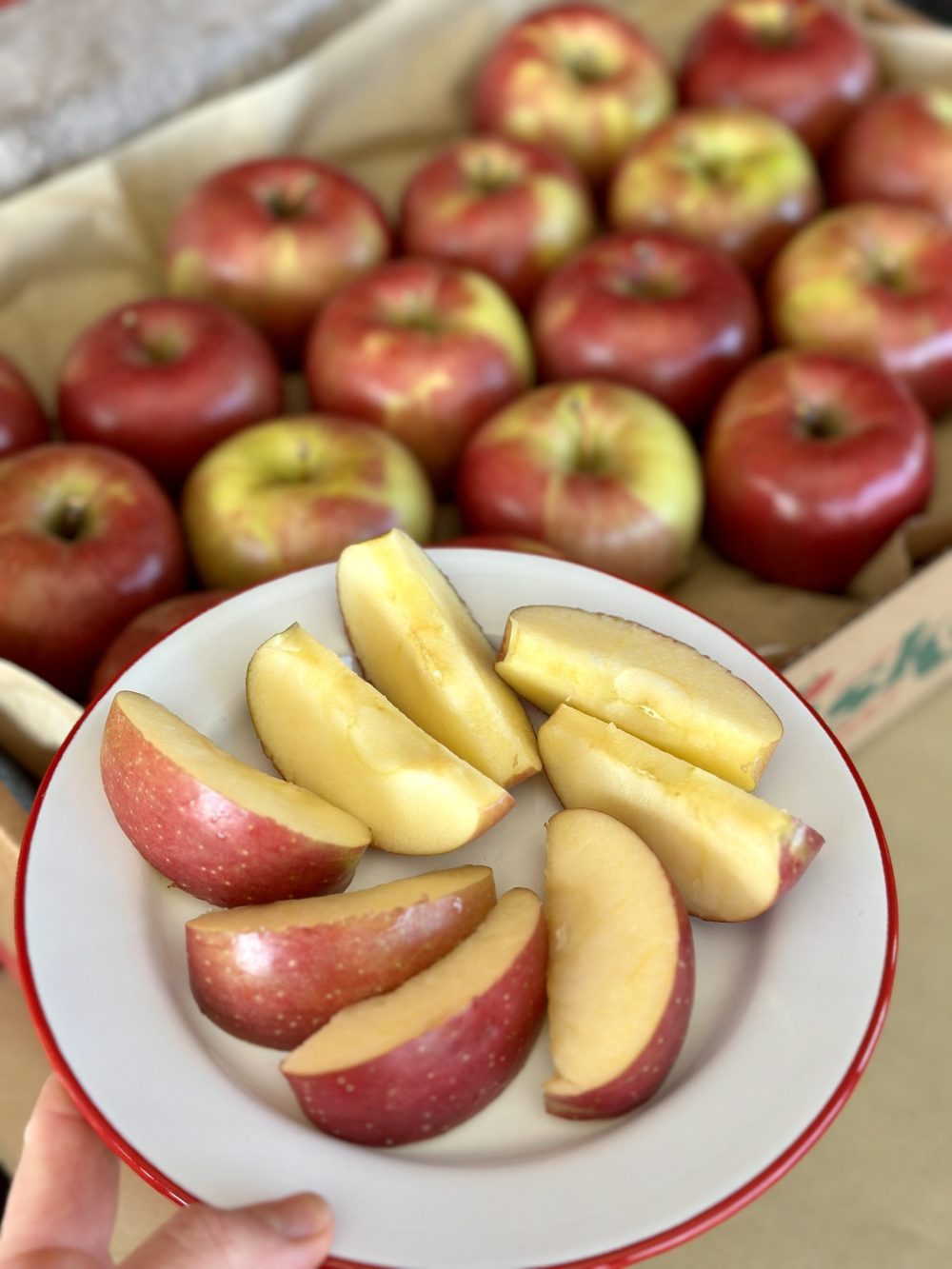 Hand-selected Evercrisp apples in a premium gift box
